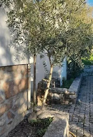 Quinta Da Barbosa *