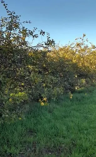 Villa Quinta Da Barbosa *